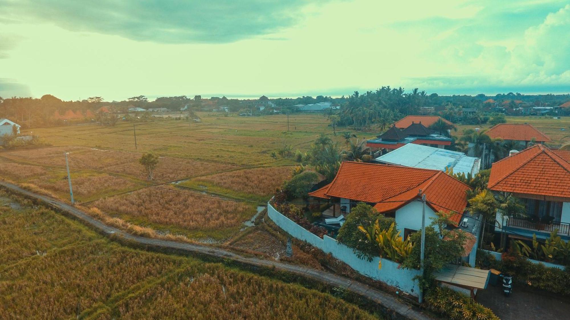 Villa Maya Ubud, Peaceful Rice Field View Bagian luar foto