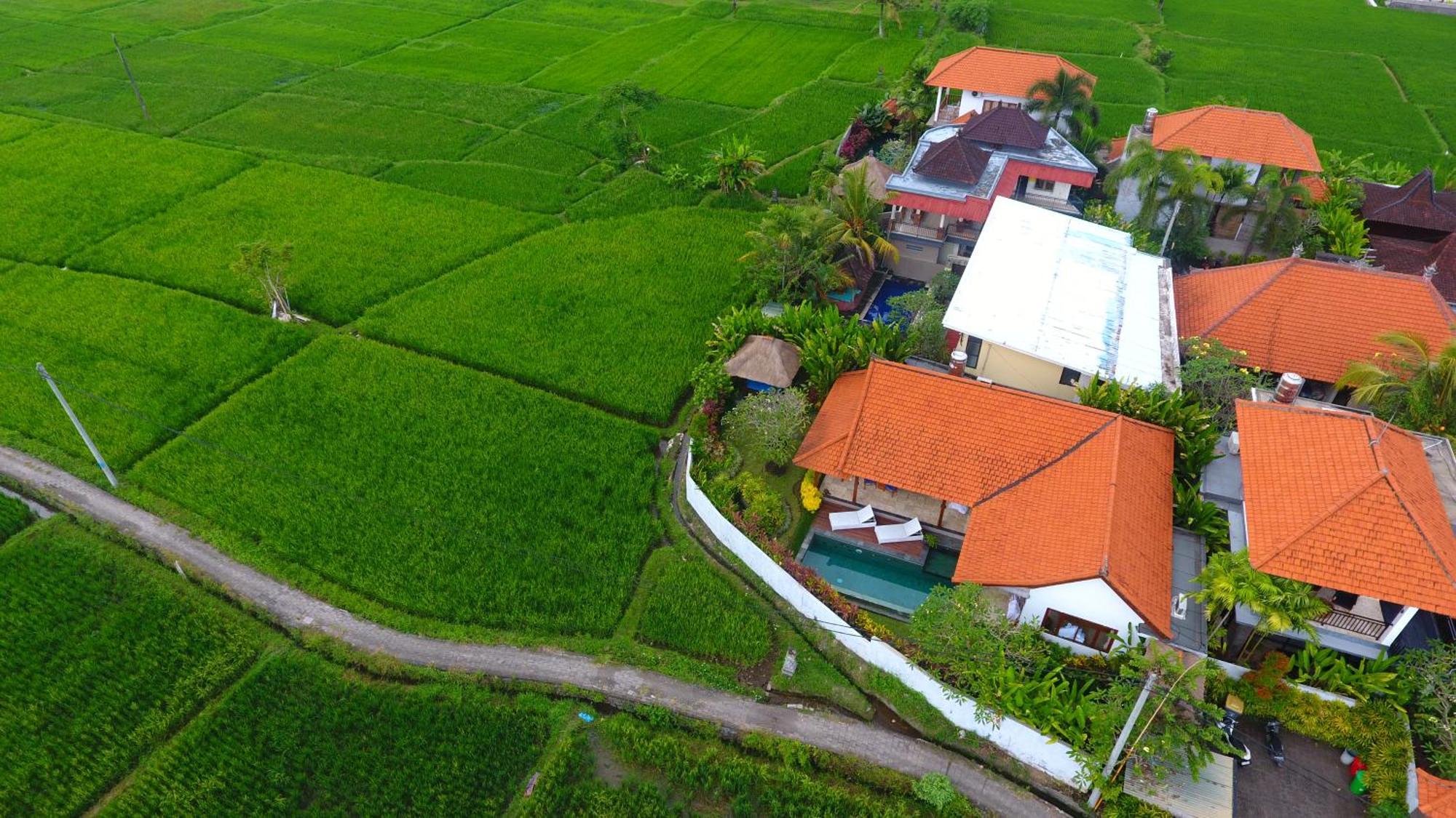 Villa Maya Ubud, Peaceful Rice Field View Bagian luar foto